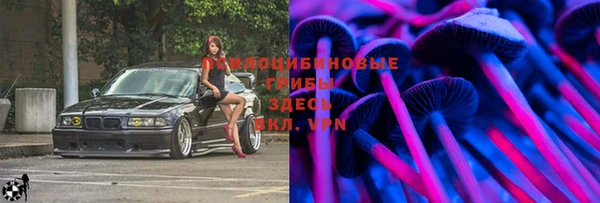 гидропоника Богданович