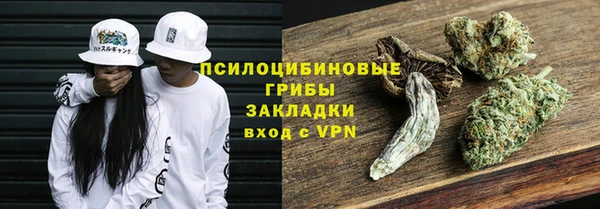 экстази Богородицк