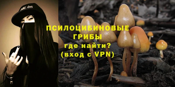 гидропоника Богданович