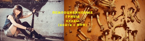 гидропоника Богданович